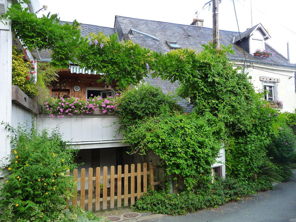 Bed and Breakfast Escale De Loire Chouzé-sur-Loire Exteriér fotografie